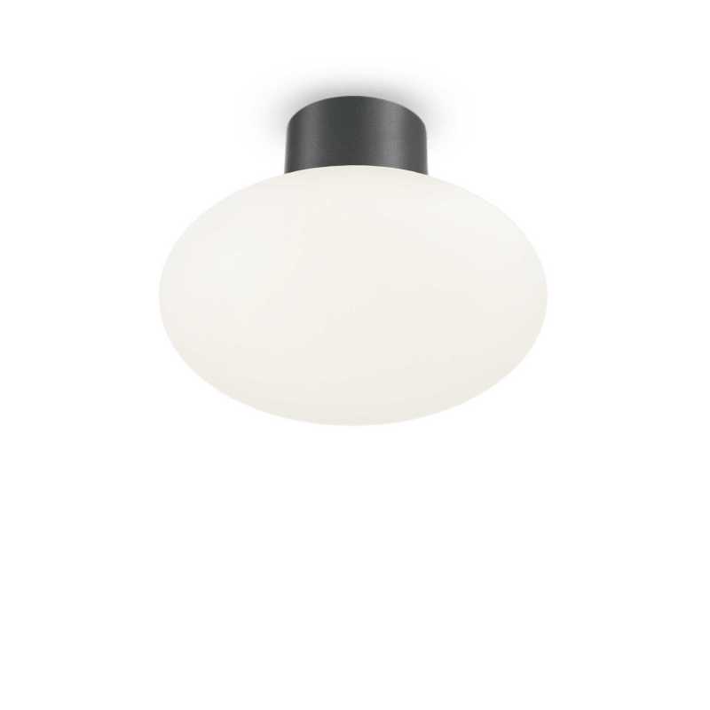 Ceiling - wall lamp CLIO MPL1 Anthracite