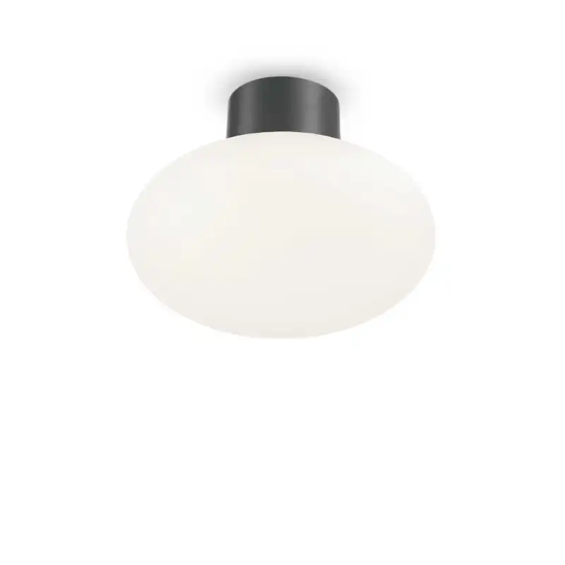Ceiling - wall lamp CLIO MPL1 Anthracite