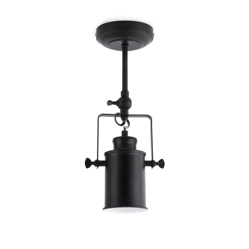Настенно - потолочная лампа LIST Black