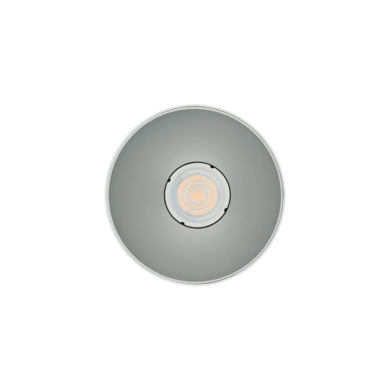 Ceiling lamp POINT TONE 8220 WH/SI